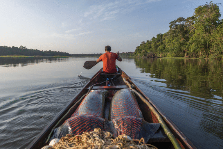 In the Brazilian Amazon, community conservation success comes with a cost: Study