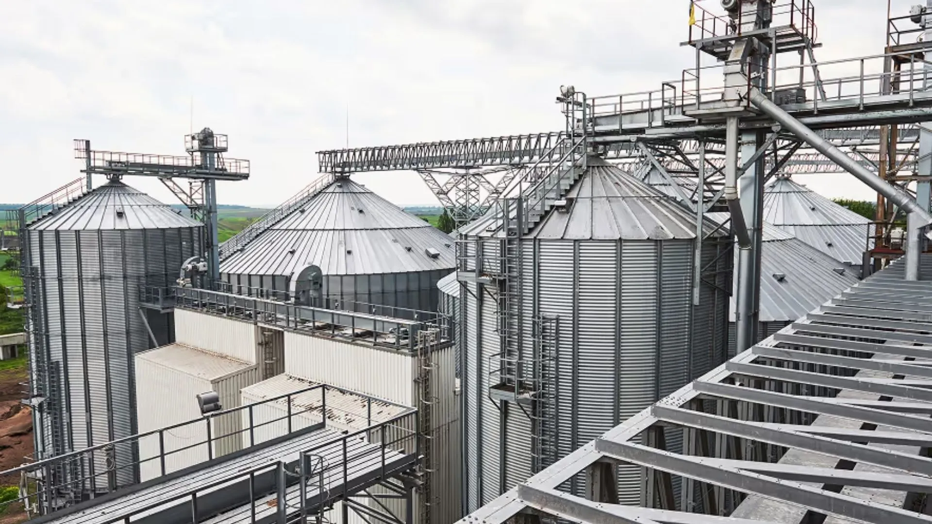US firm reinvents century‑old ammonia production tech to cut costs