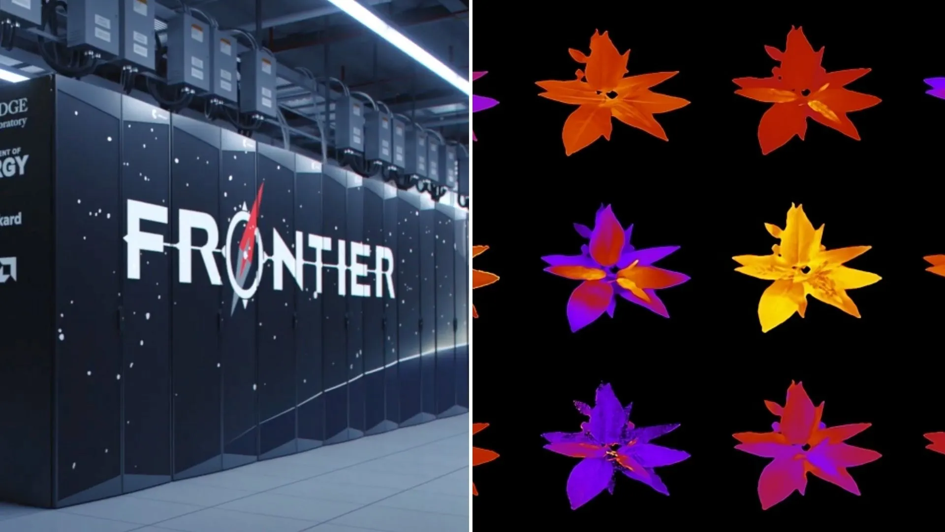 World’s first exascale supercomputer speeds plant research with new AI