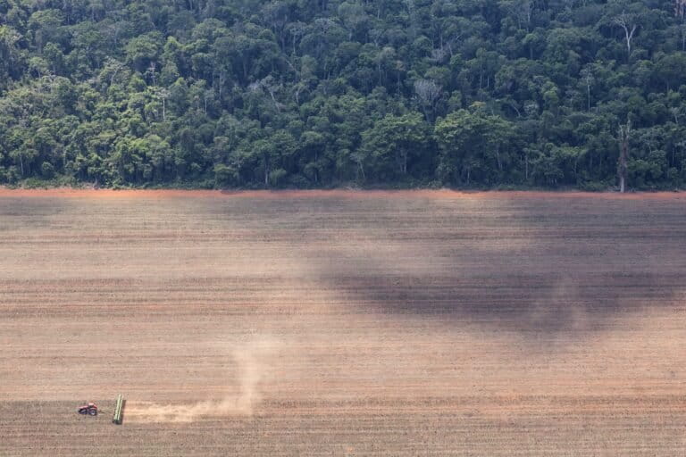 Soy giants drop Amazon no-deforestation pledge as subsidies come under threat