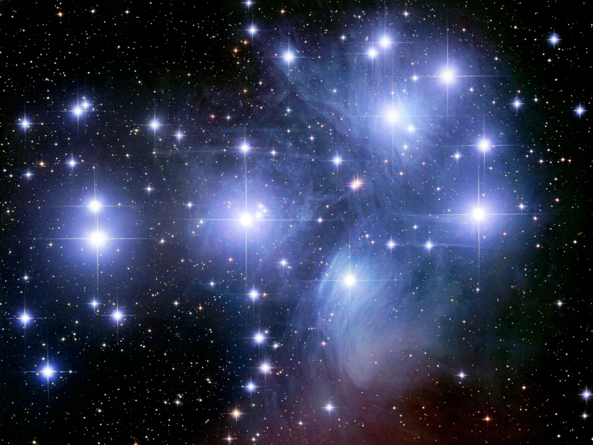 The Pleiades Star Cluster Has a Secret Stellar Family