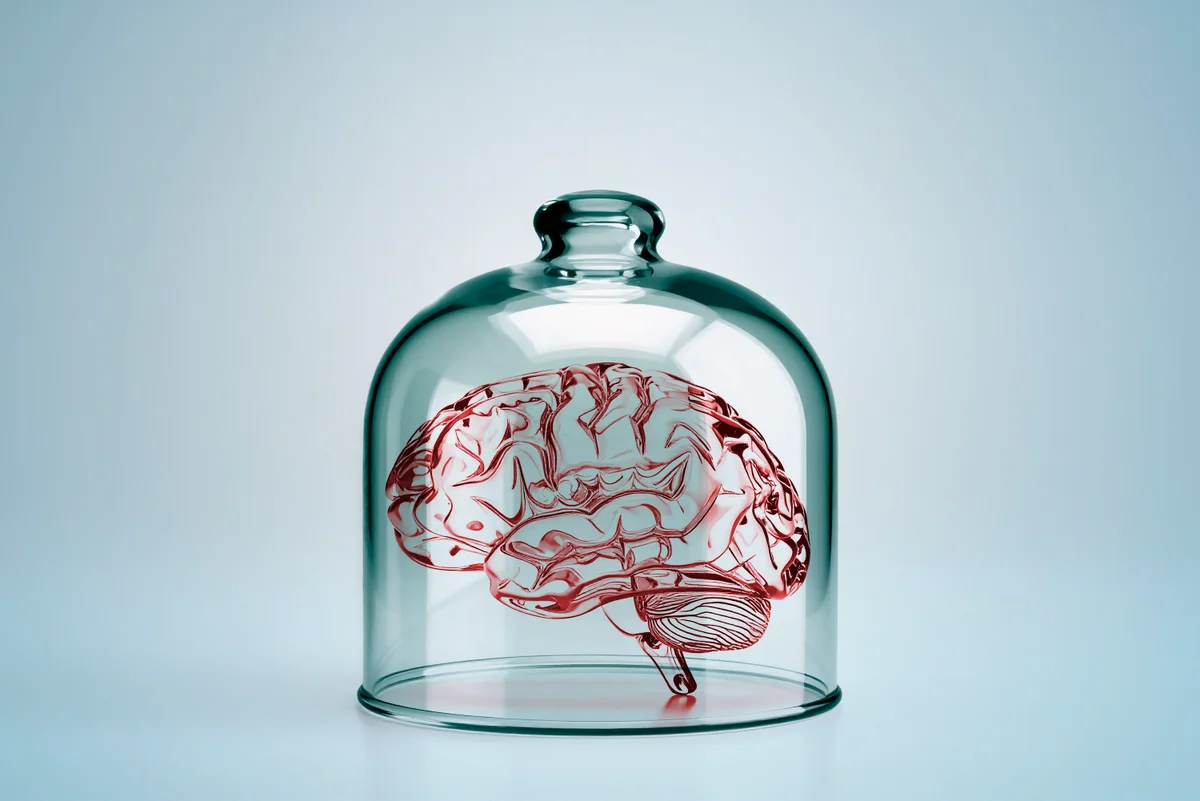 Can a ‘brain in a vat’ be conscious?