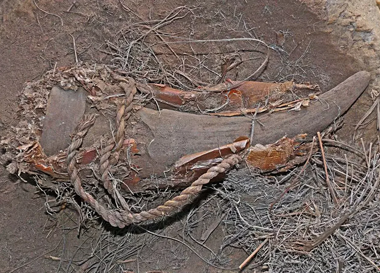 500-year-old medicine container has been revealed to contain herbal mixtures