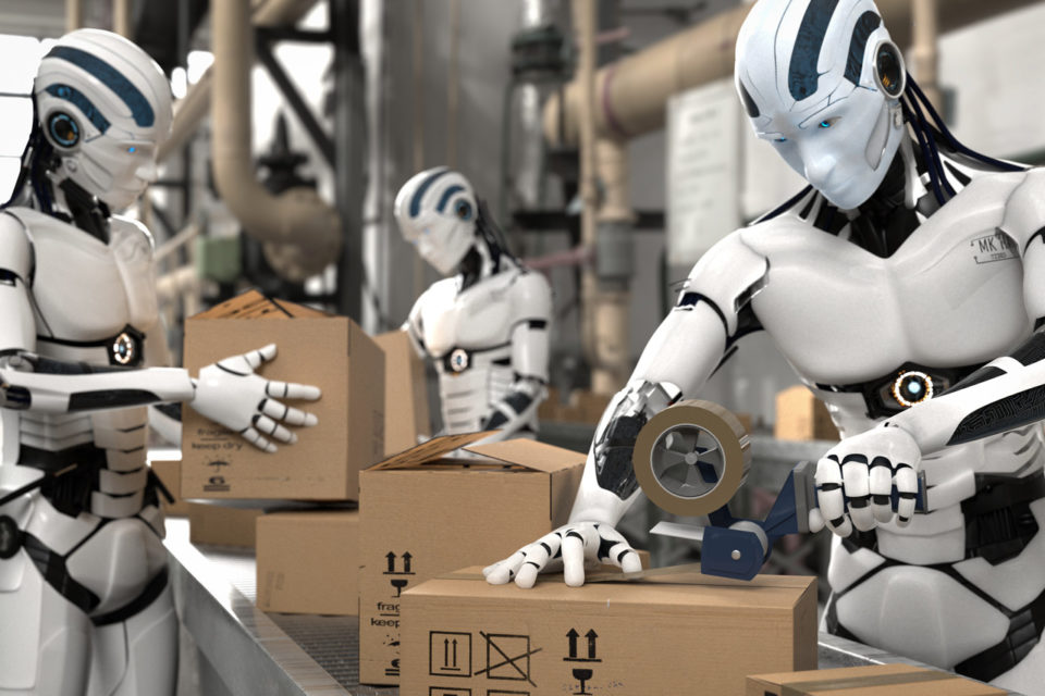 Humanoid Robots: Just a Trend or a True Industrial Revolution?