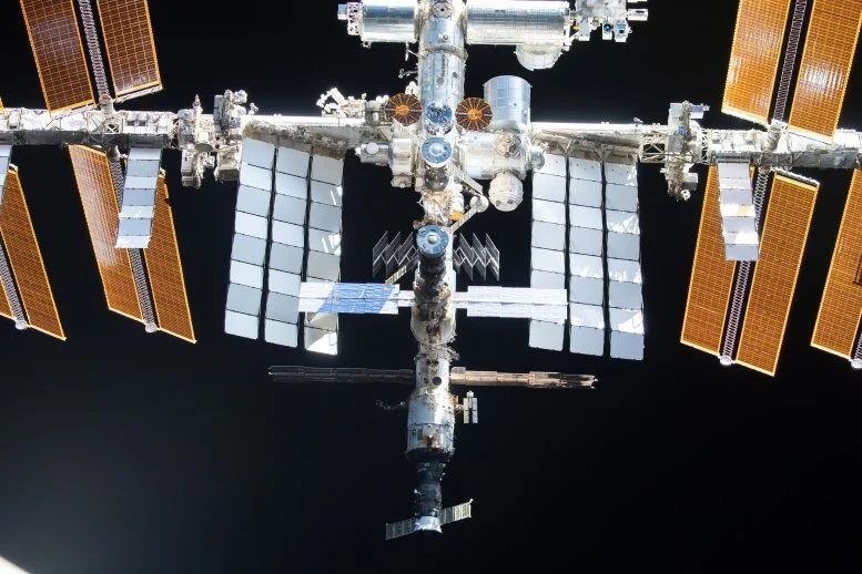 Strange New Side of Viral Evolution Revealed on the International Space Station
