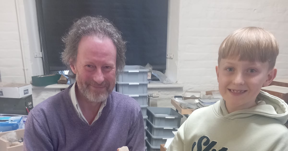 Boy (7) strikes it lucky by finding one of the world’s rarest minerals near his home in Cork – The Irish Times