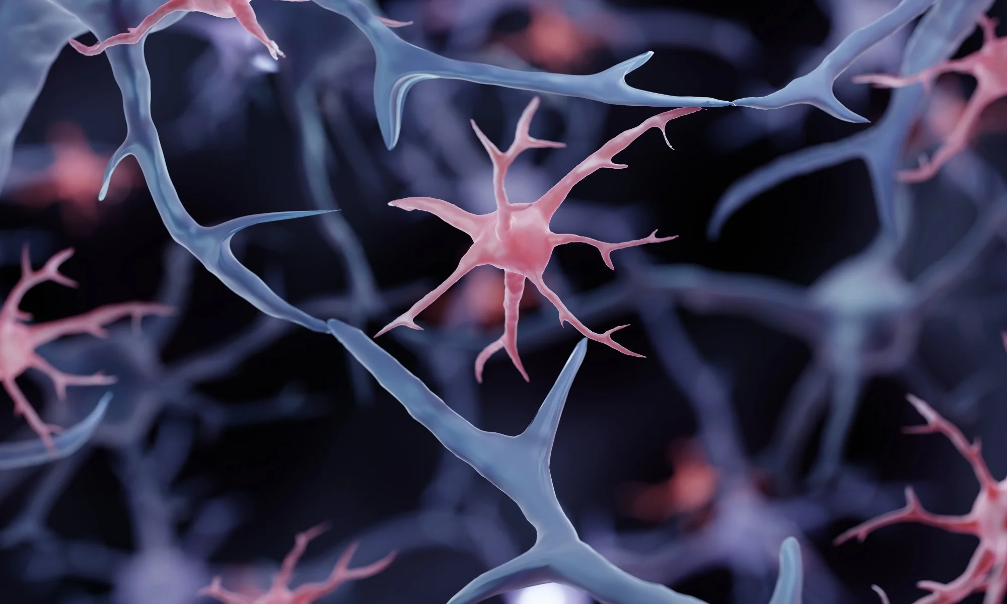 Ageing slows brain protein clearance and shifts synaptic waste to microglia