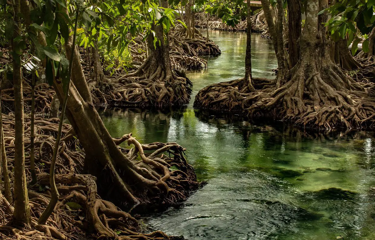 Lost world gives glimpse of planet before last Ice Age