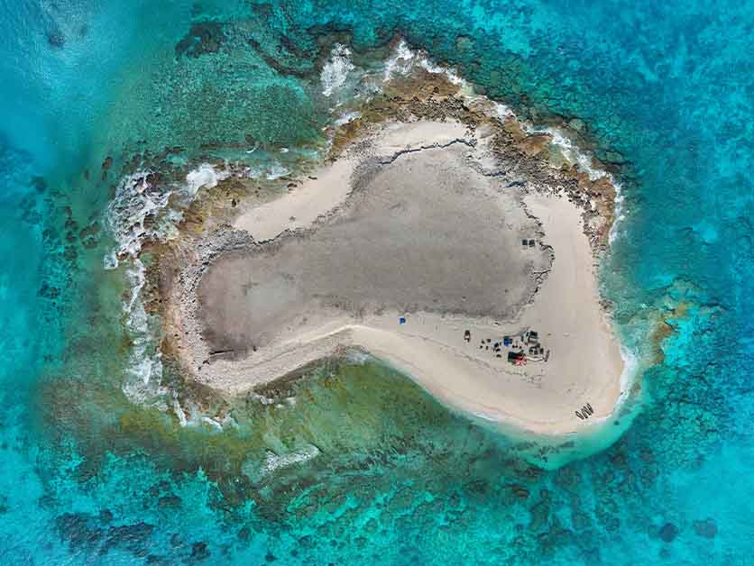 Out of the Lab and into Nature: Going to the Ends of the Earth to Better Understand the Brain – Life Sciences | Weizmann Wonder Wander