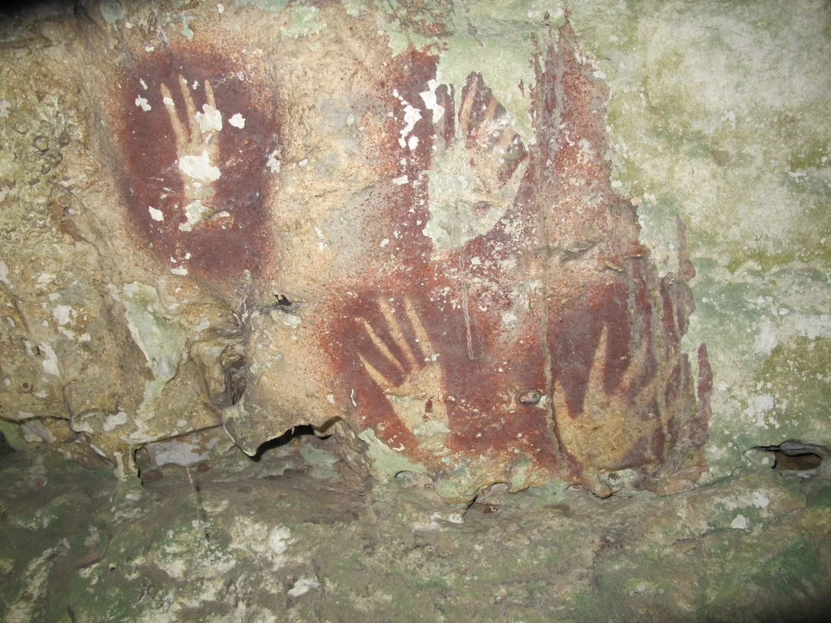 Oldest cave art ever found discovered in Indonesia