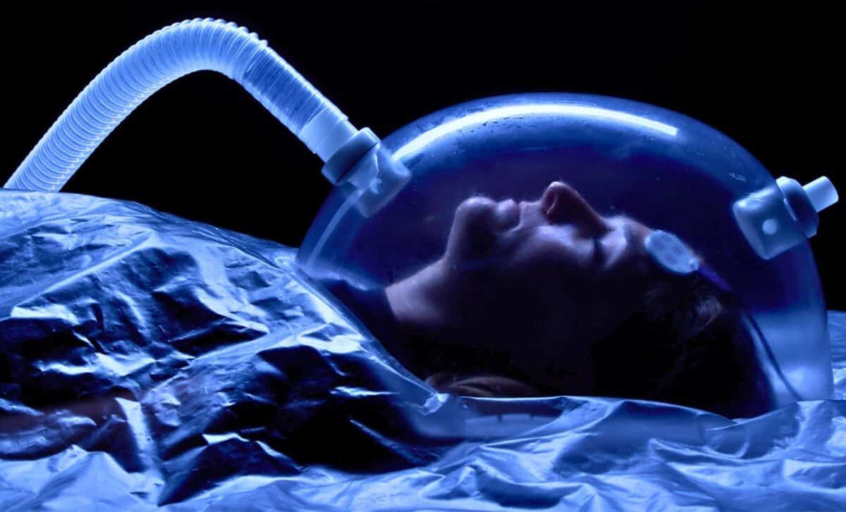 Could Humans Hibernate? Scientists Say It’s Possible, Only if We Mimic What Bears Already Do