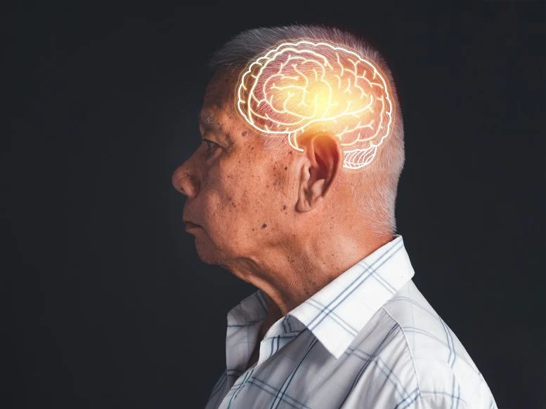 Scientists Discover Brain-Penetrating Compounds That May Calm Alzheimer’s-Linked Inflammation