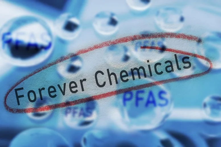 The Planet Is Being Coated in a Chemical That Never Goes Away