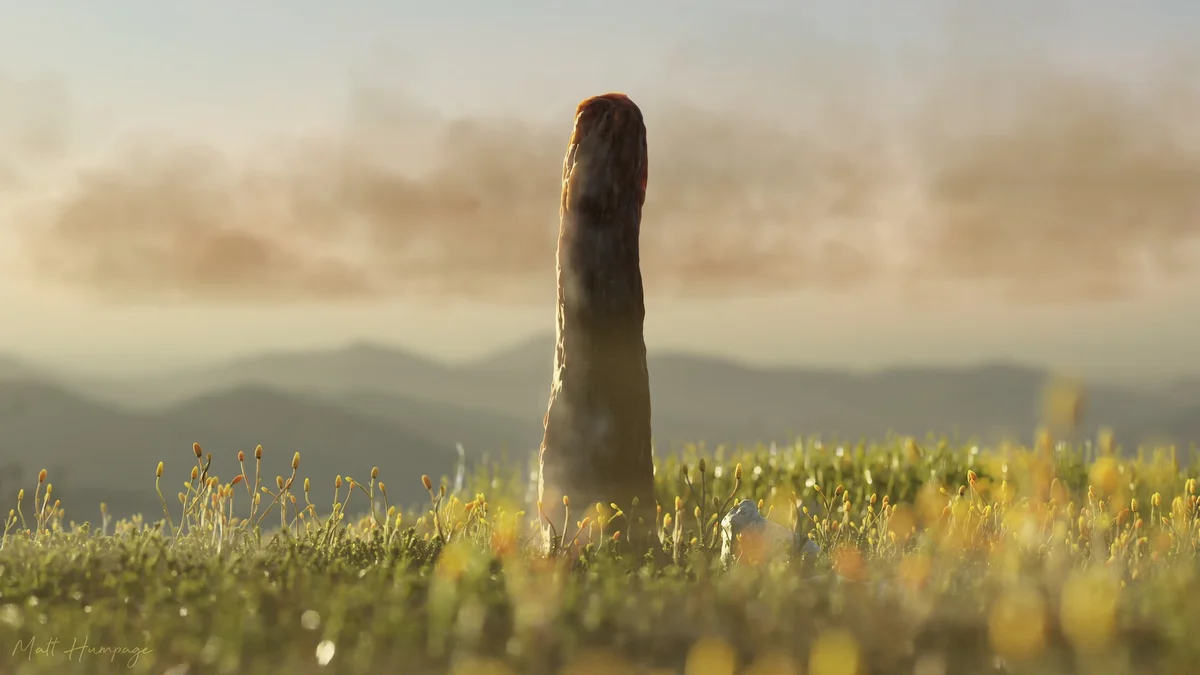 Mystery Prototaxites tower fossils may represent a newly discovered kind of life