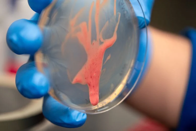 Meet the Disgusting Bacteria That Give Plants a “Heart Attack”