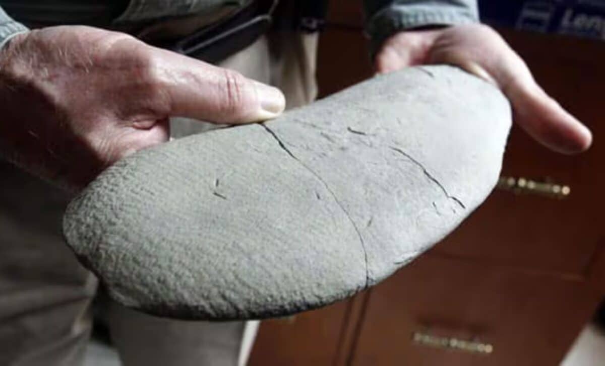 Random Guy in Kentucky Digs Up a 7-Foot Fossil: Meet ‘Godzillus’