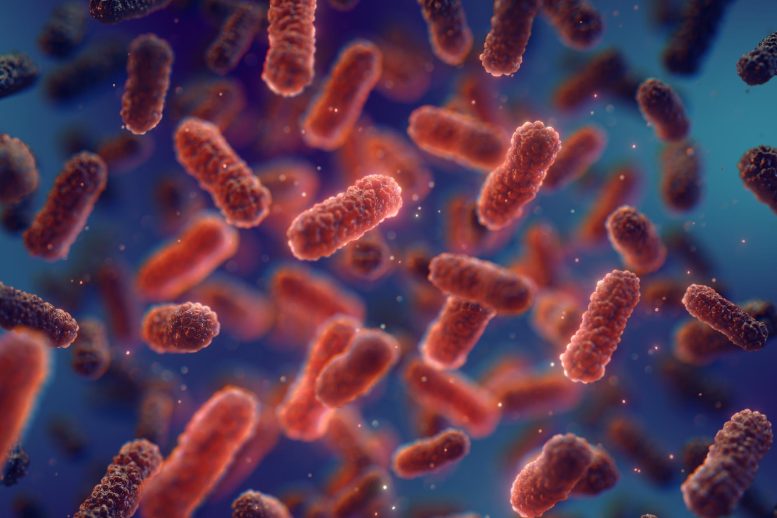 Scientists Discover Natural Protein That Traps and Kills Harmful Bacteria