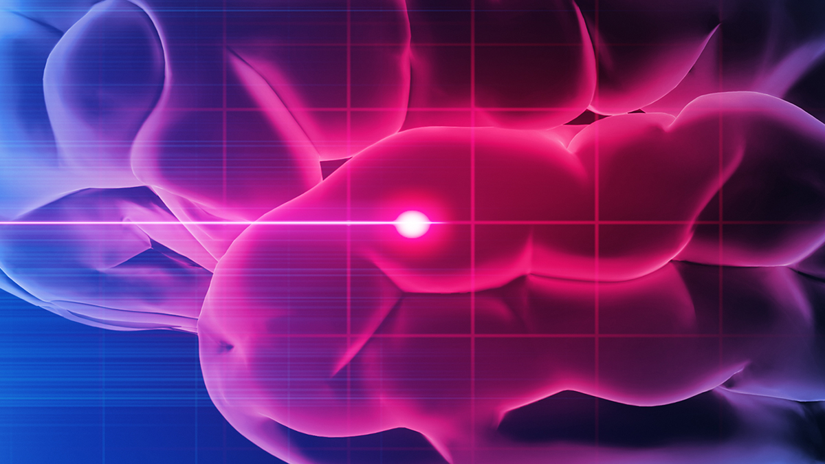 Peptide Treatment Protects Brains After Stroke, Mouse Study Finds : ScienceAlert