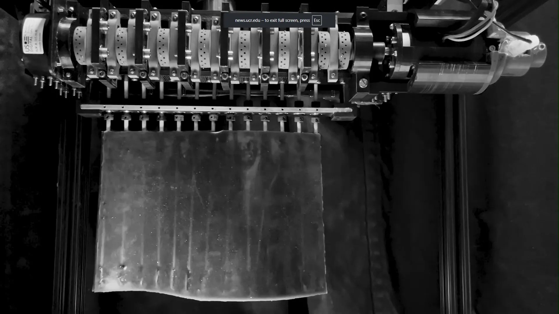 Robotic fins mimic stingrays for stable, precise underwater movement