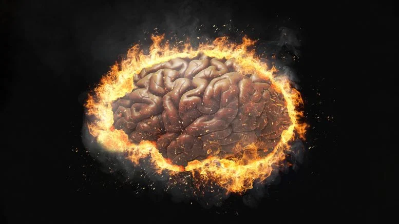 Scientists Pinpoint New Drug Target for Devastating “Brain on Fire” Disease