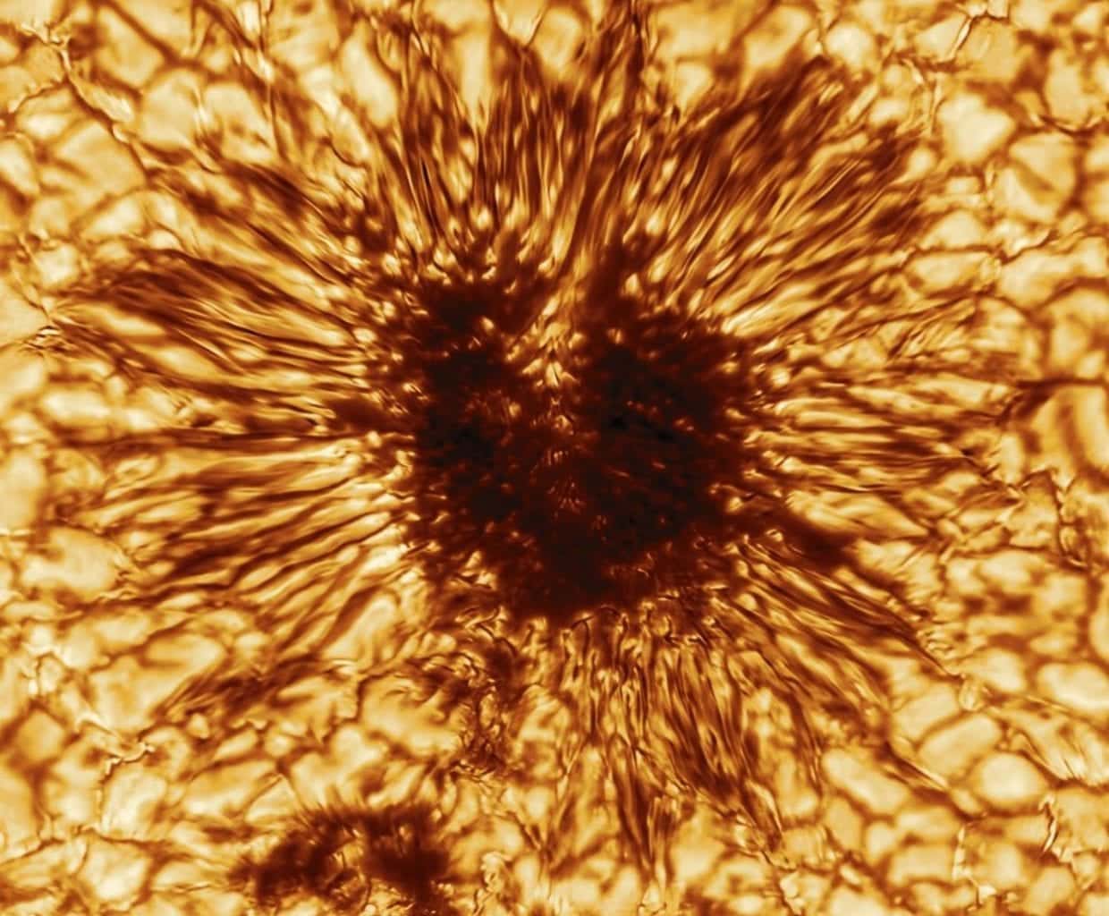 Inouye Solar Telescope Releases First Image of a Sunspot