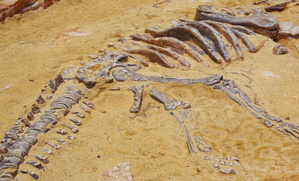 Scientists Just Realized This Dinosaur is Breaking Records, and Could Rival a Sauropod in Size