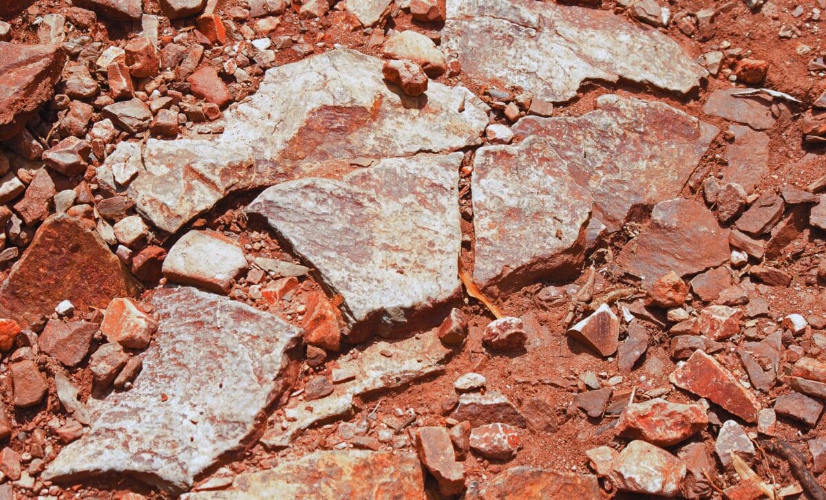 Paleontologists Smashed Open Red Rocks… and Found Perfectly Preserved Fossils