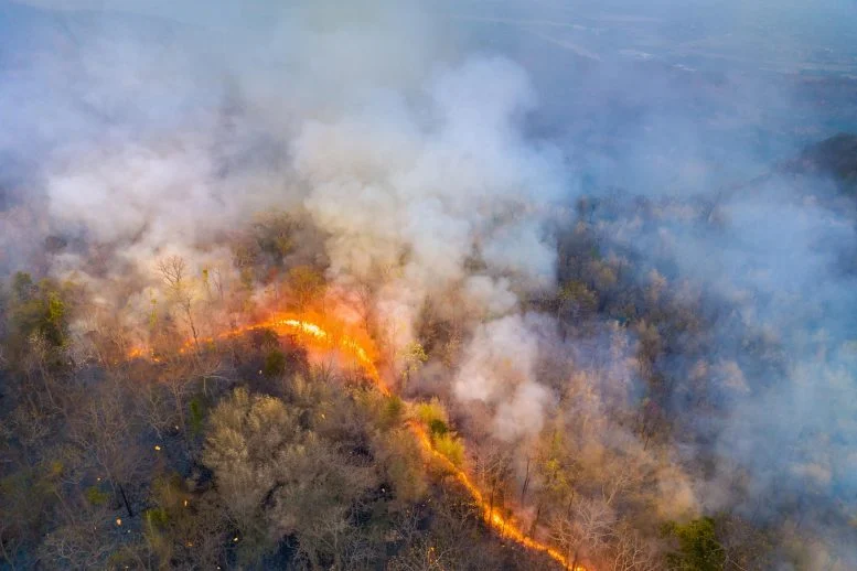 Wildfire Smoke May Be Far More Dangerous Than Scientists Thought