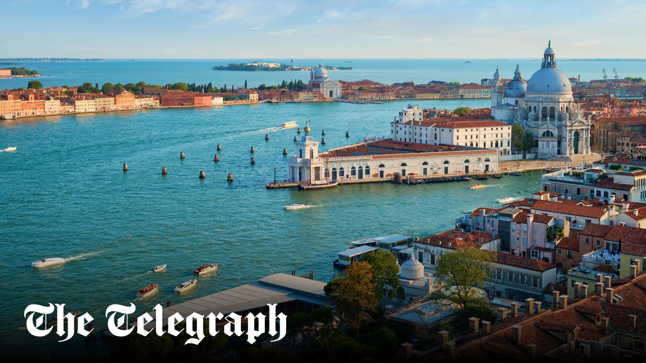 Venice invaded by cannibalistic jellyfish