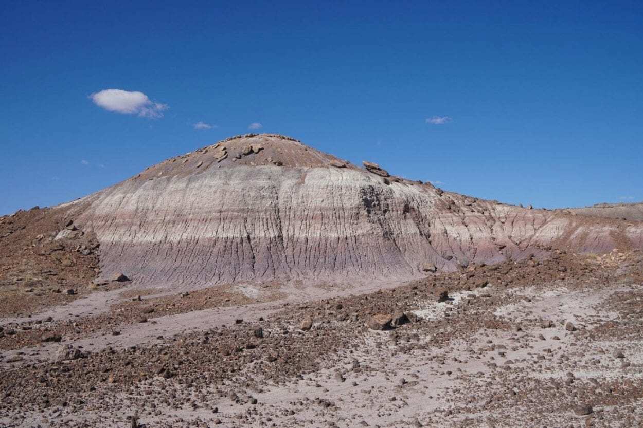 Arizona Rock Core Sheds Light on Triassic Dark Ages