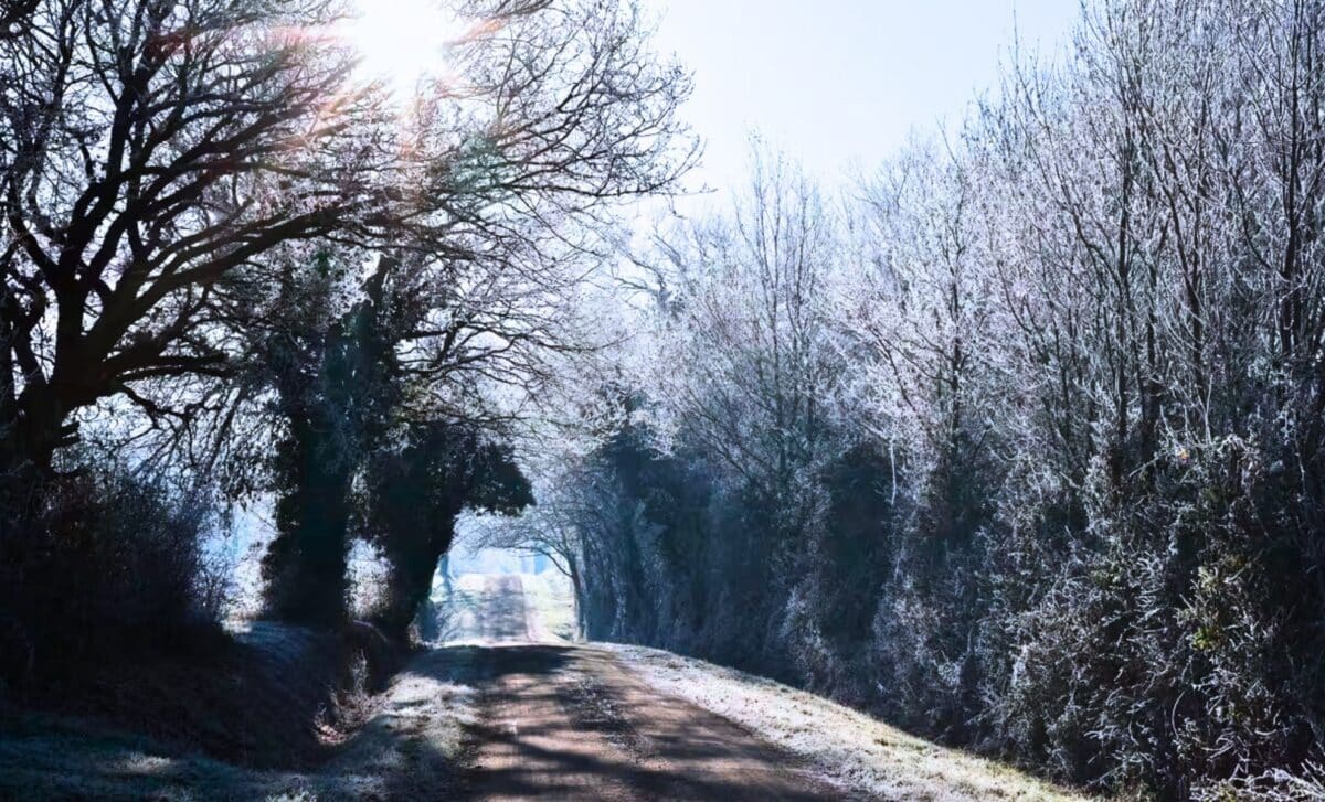 The Deep Freeze We Dread Is Secretly Vital to How Life on Earth Survives