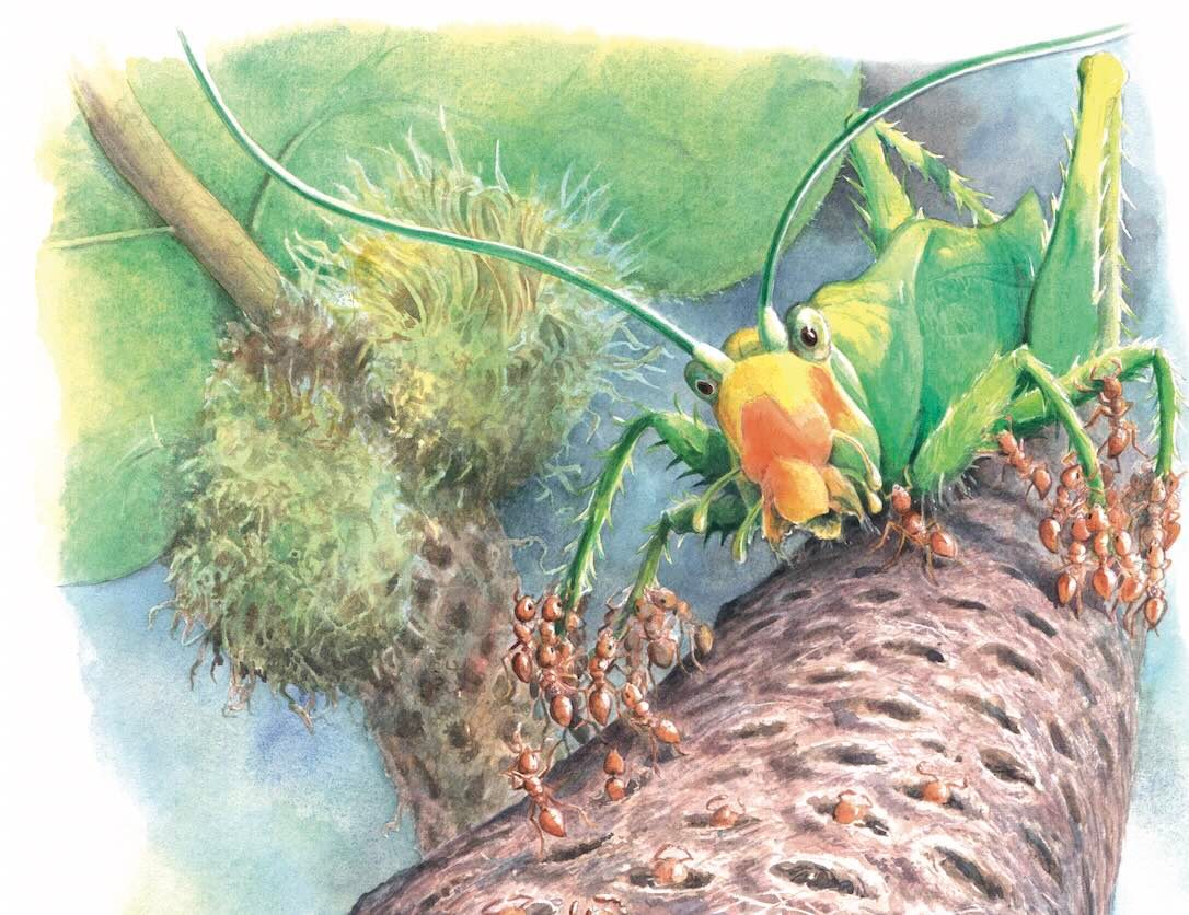 ‘Over the next hour, it’s dispatched, dismantled and butchered, piece by piece.’ This may be the most savage ambush attack we’ve ever heard