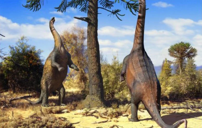 These Giant Long-Necked Dinosaurs Could Stand Upright – and Scientists Finally Figured Out Why