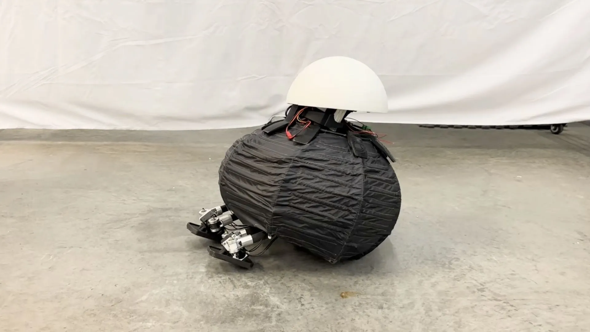 Fall-safe bipedal robot enables real-world reinforcement learning