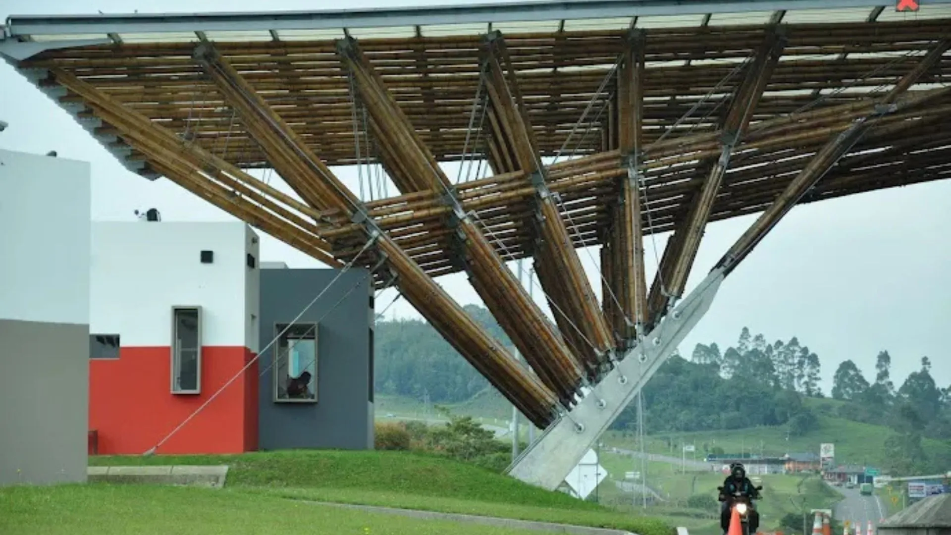 World’s first bamboo structural manual targets low-carbon buildings