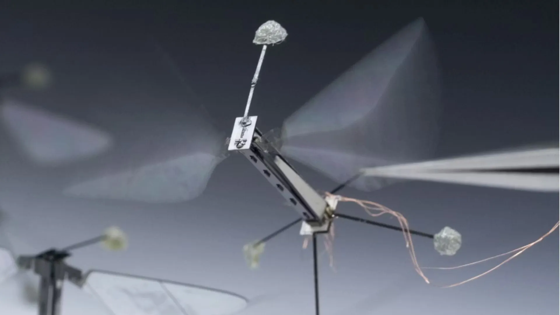 Bee-inspired navigation chips could enable tiny robot swarms