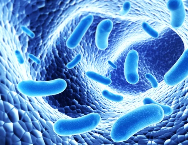 Giant amoeba-infecting viruses offer new clues to the origin of eukaryotic life