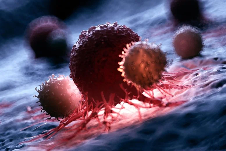 Researchers Discover New Way To Wake Up Cancer-Killing T Cells