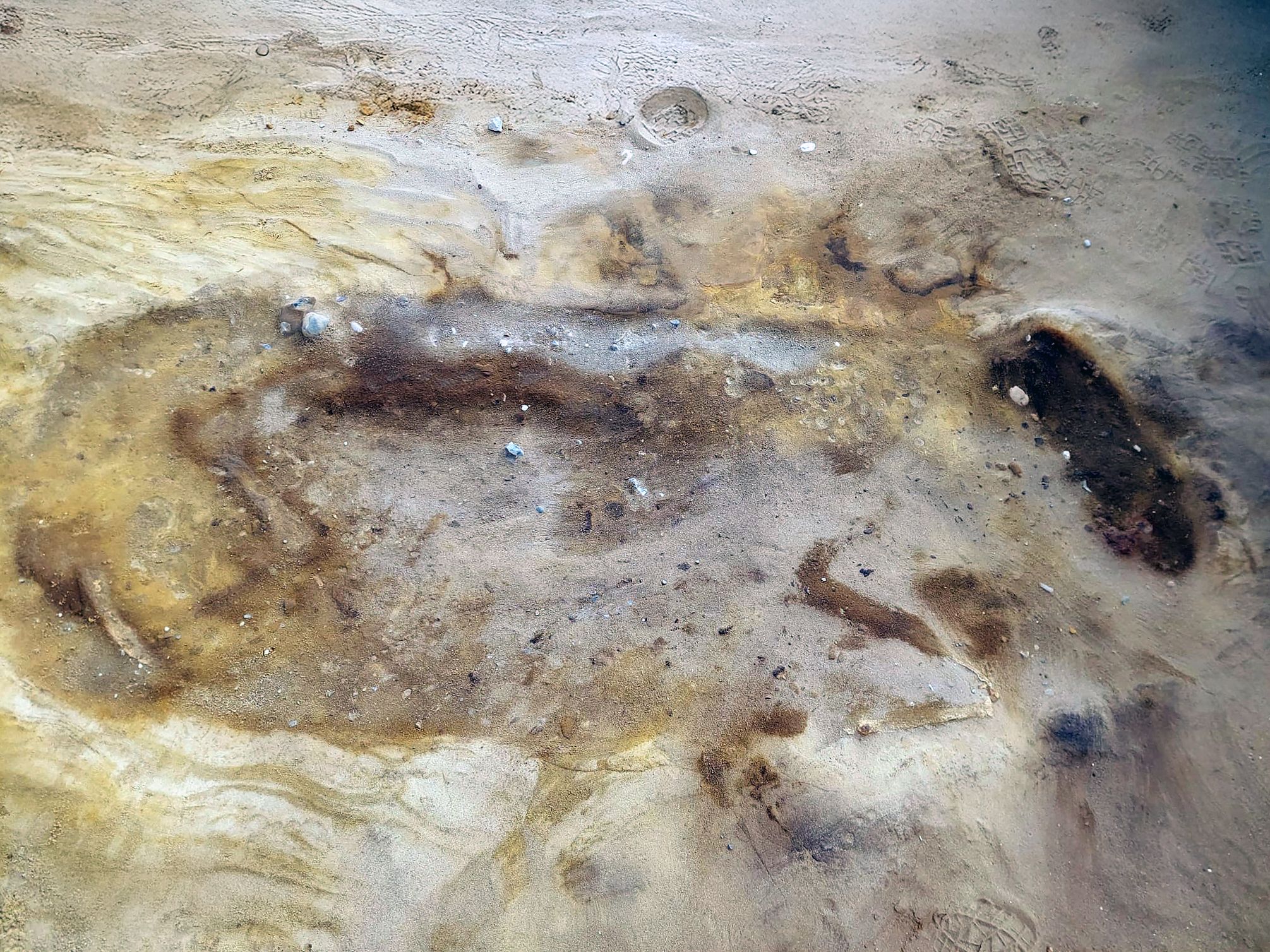 Eerie ‘sand burials’ of elite Anglo-Saxons and their ‘sacrificed’ horse discovered near UK nuclear power plant