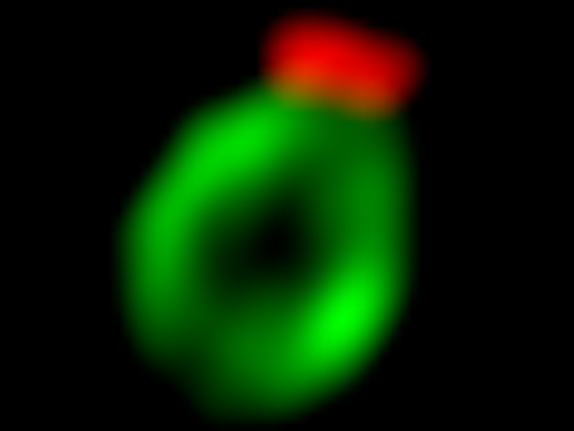 Mouths Wide Shut: How Cellular Cleaning Out Is Kept in Check – Life Sciences | Weizmann Wonder Wander