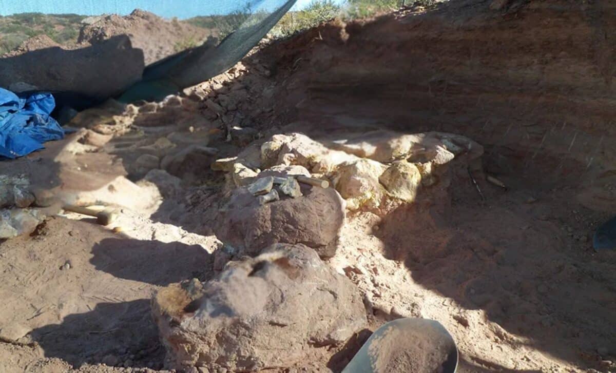 Scientists Just Found a Dinosaur So Unique It’s Forcing a Rethink of Titanosaur Evolution