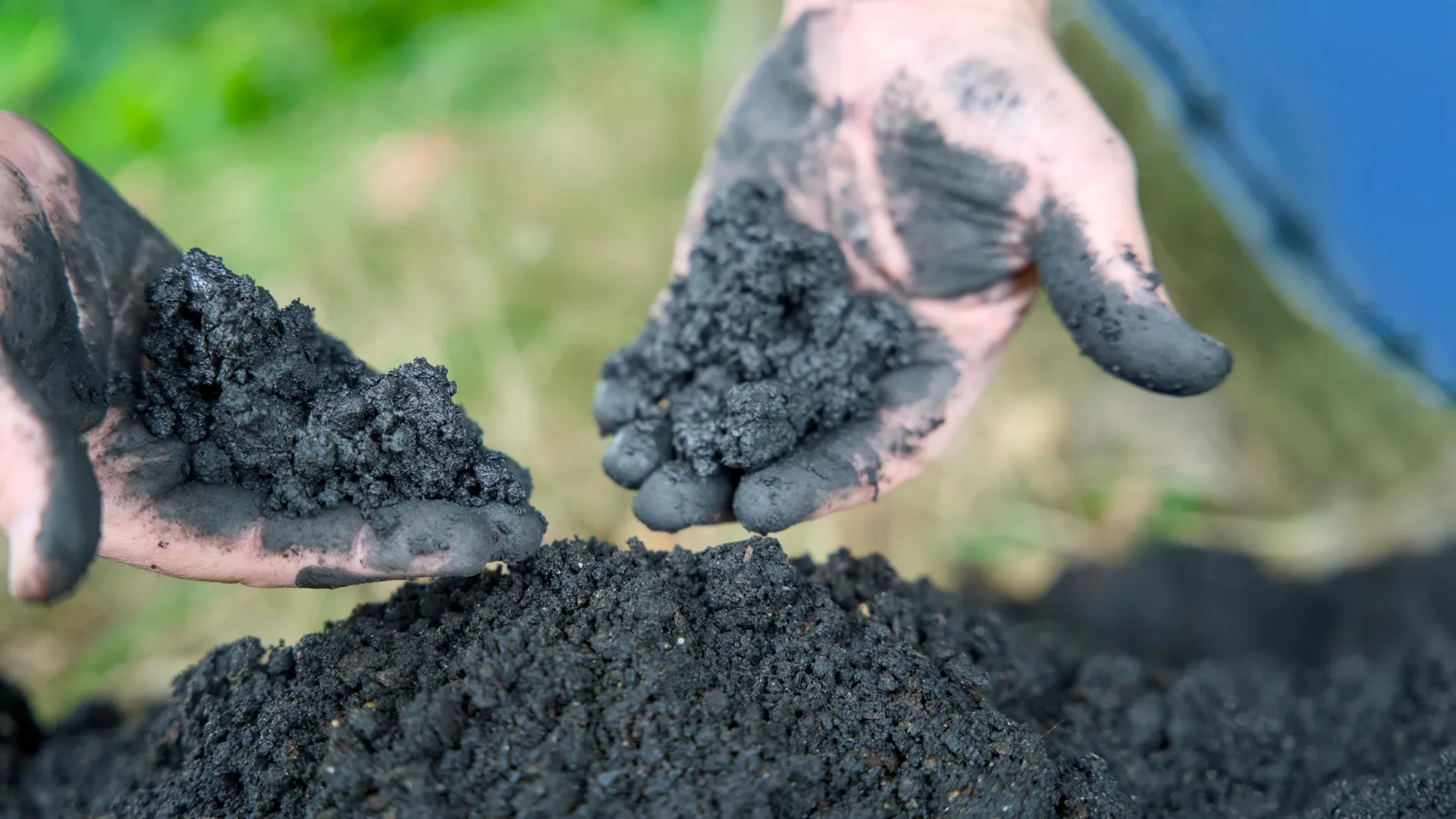 Biochar’s secret power could change clean water forever