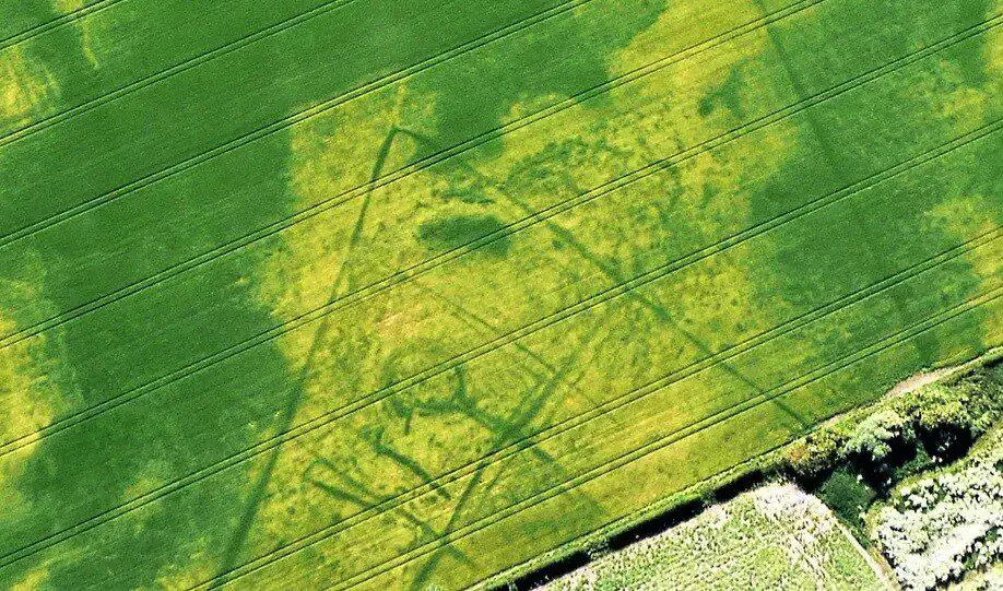 Seen from the air, the dry summer reveals an ancient harvest of archaeological finds