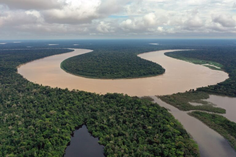 The climate fight may not be won in the Amazon, but it can be lost there