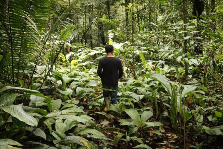 What it will take to protect the Amazon, according to Virgilio Viana