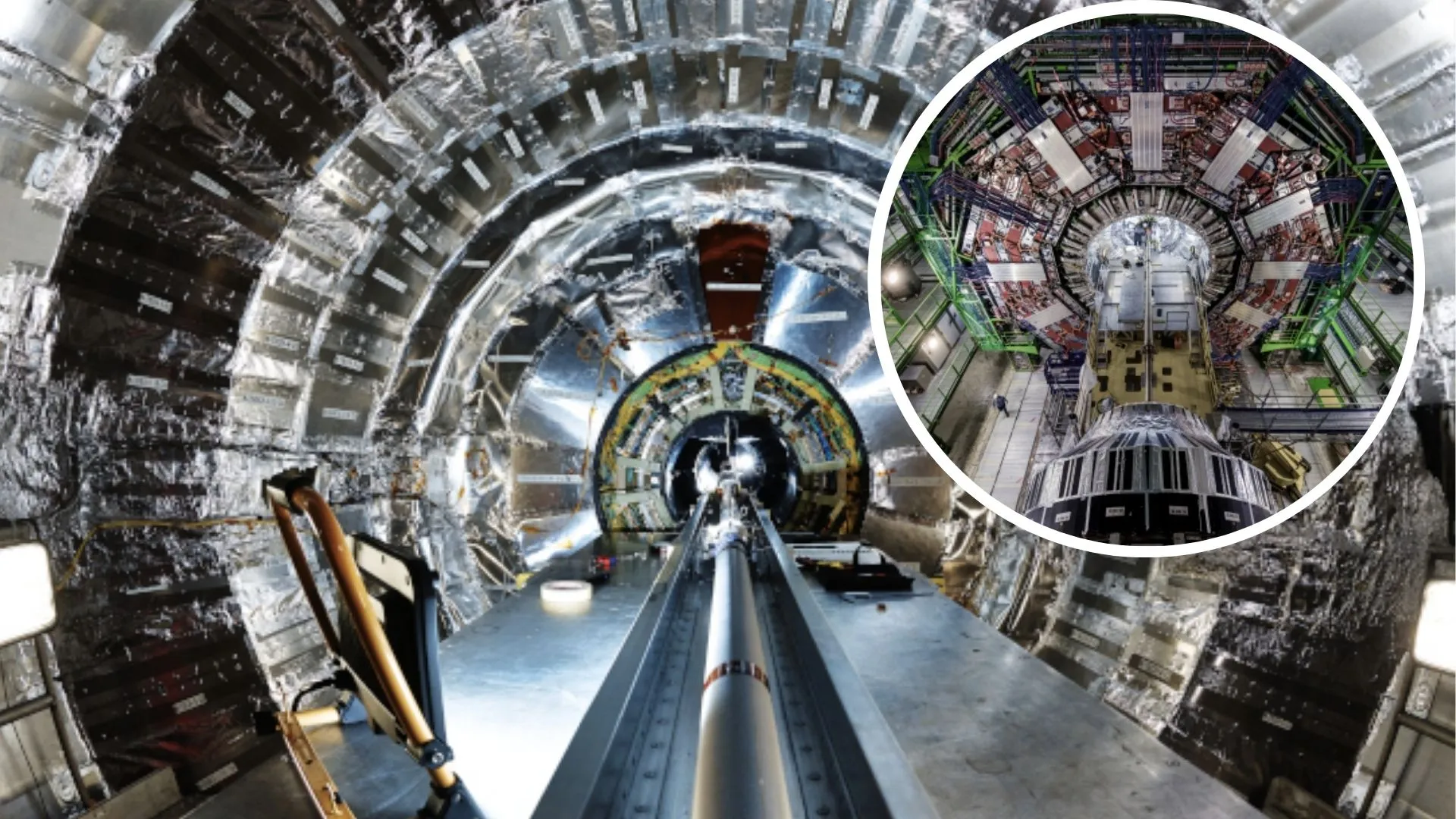 World’s largest particle collider reveals collective nature of quark soup