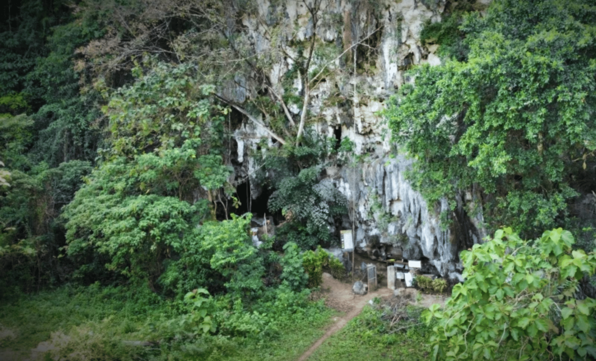 Archaeologists Unearth 200,000-Year-Old Evidence of Ancient Human-Like Species that Lived Alongside Early Humans