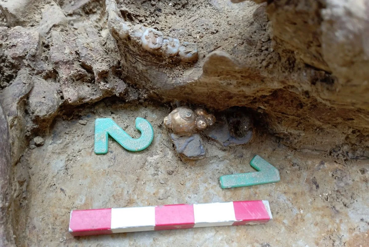 Avar period discovery could rewrite Hungarian history