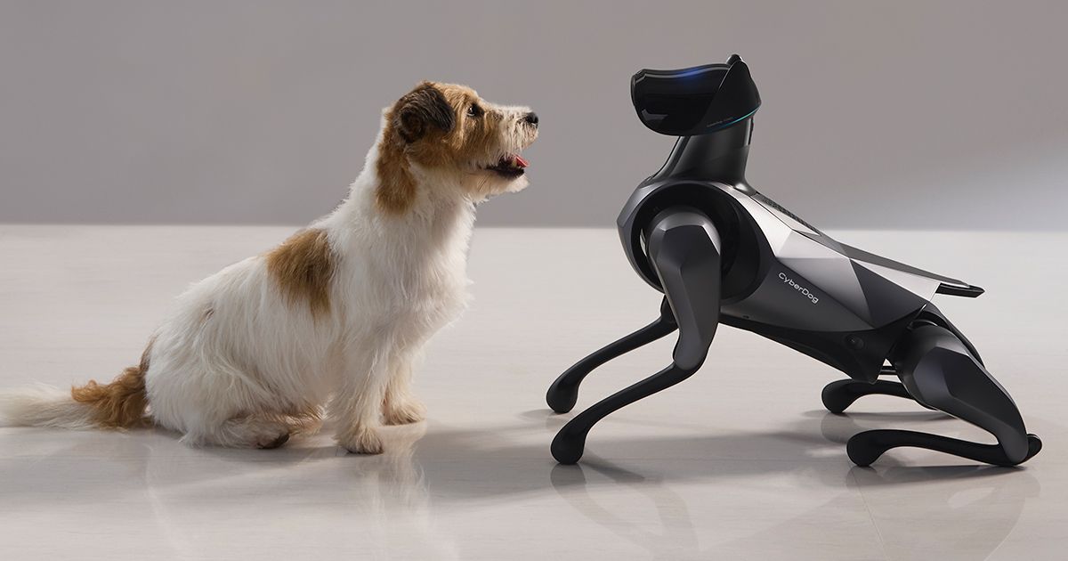 CyberDog 2 – ROBOTS: Your Guide to the World of Robotics