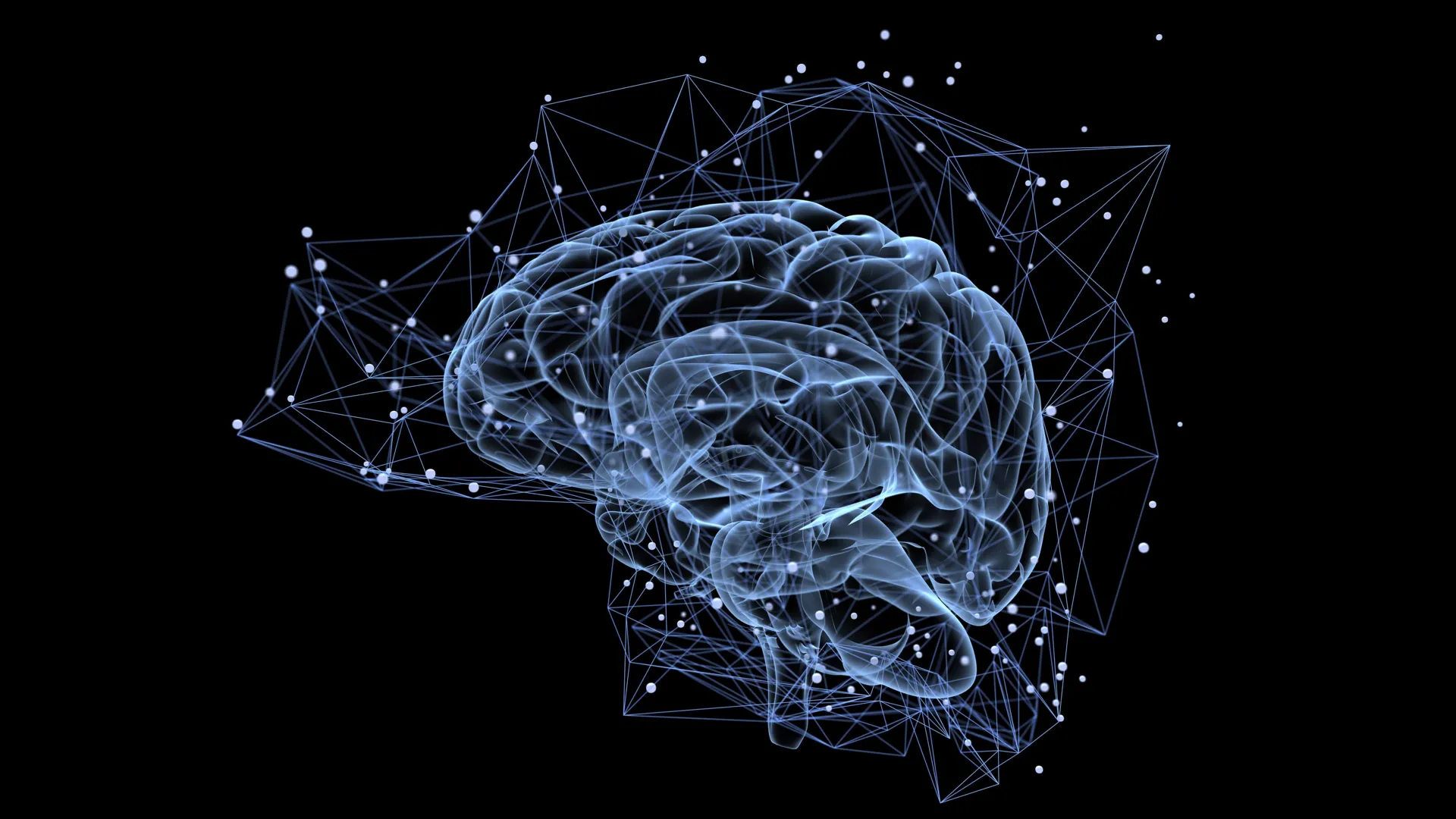 Scientists discover a hidden brain circuit that rewrites vision